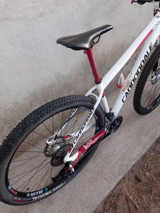 Cannondale F29 - M