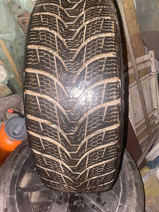 шини зимові Premiorri ViaMaggiore 205/55 R16
