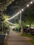 Aluguer de grinaldas de luzes para eventos