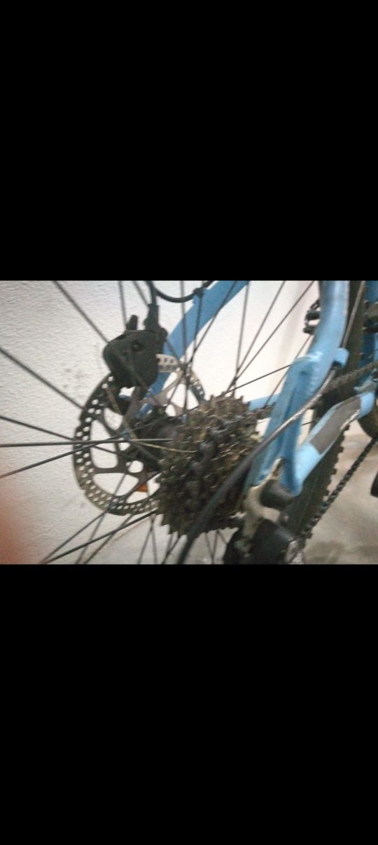 Bicicleta Sirla Dirt 2