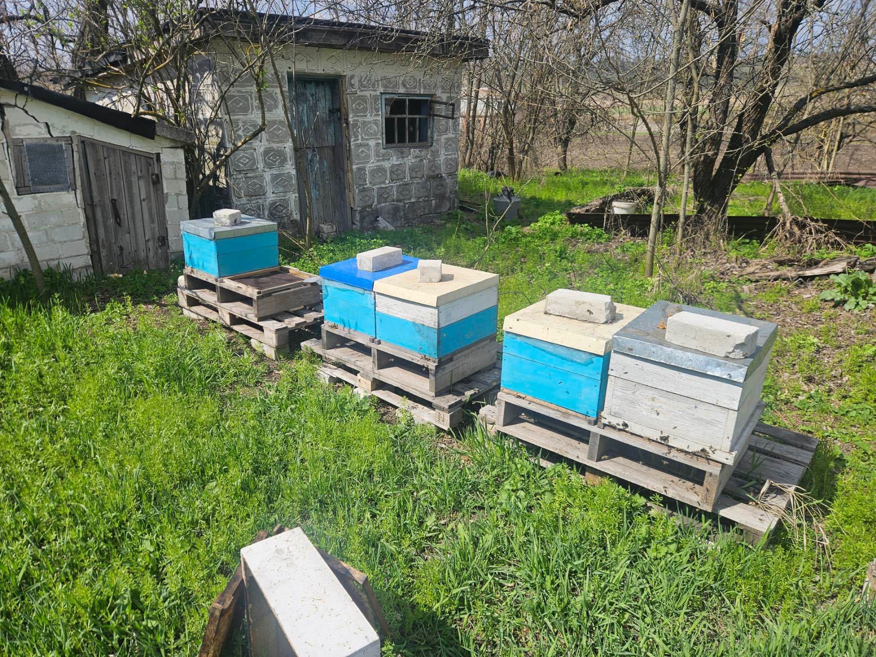 Продам пасіку. Хутор Глубиніха