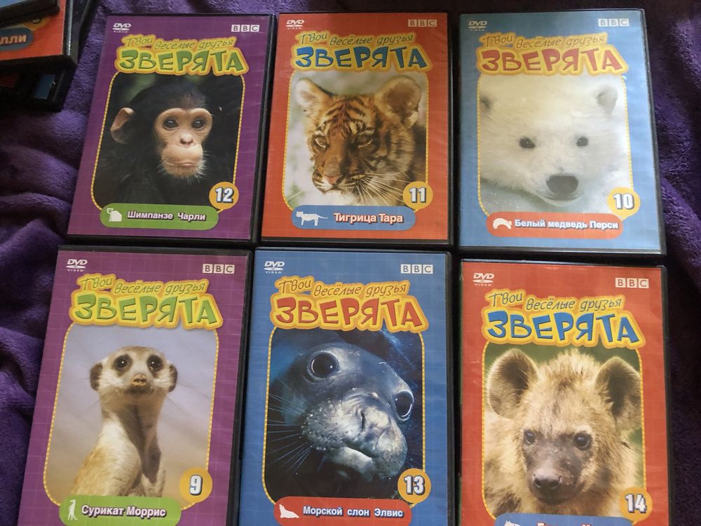 Двд диски для детей 24 шт. Звери животные