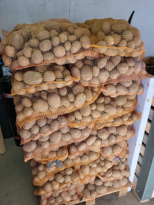 Ziemniaki Vineta, queen anne