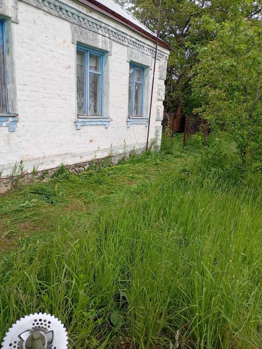 Продаж добротного будинку із земельною ділянкою в с. Шевченкове
