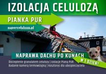Naprawa izolacji dachu po kunie | Wdmuchiwanie celulozy | Pianka PUR