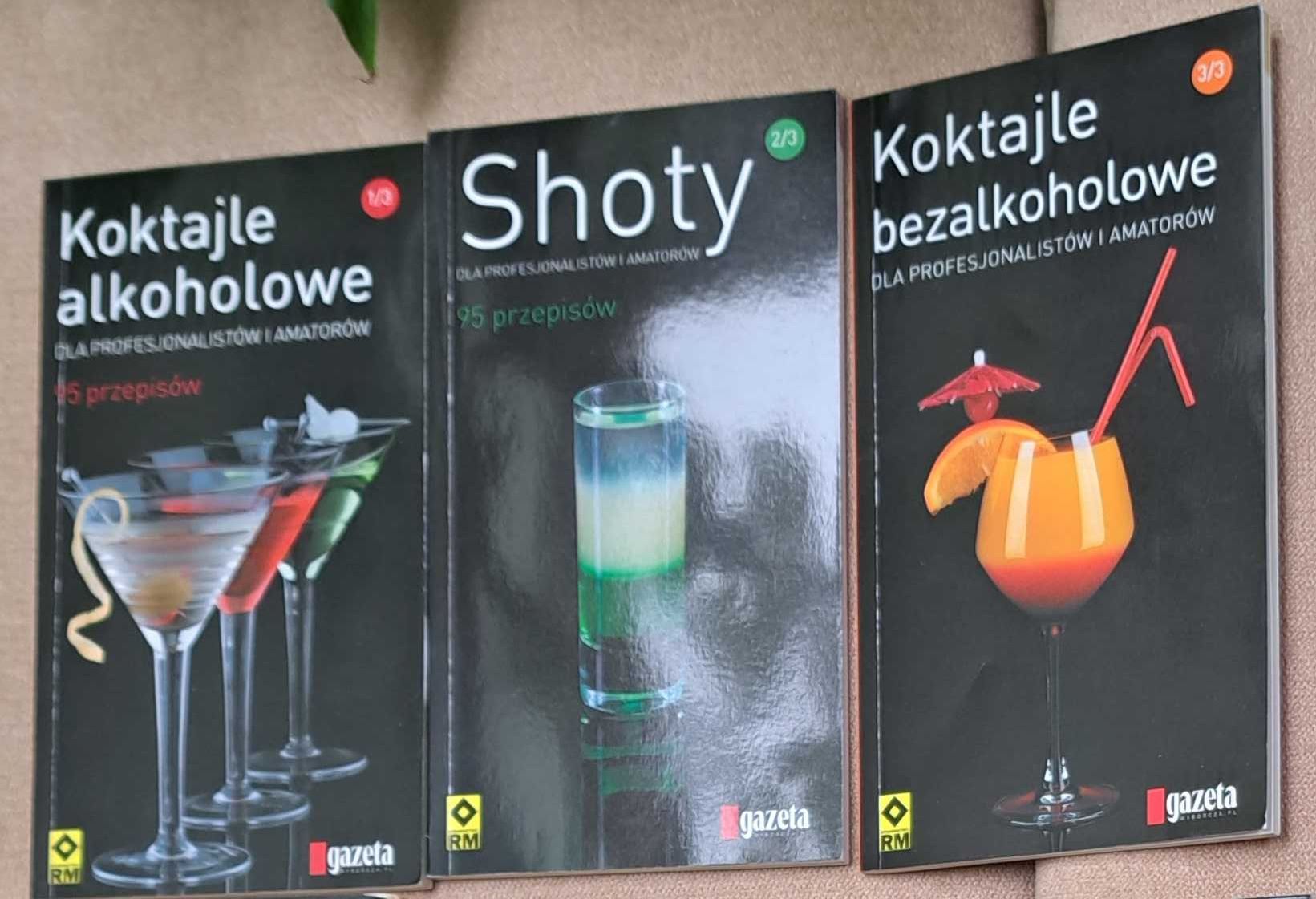 Koktajle alkoholowe Shoty Koktajle bezalkoholowe dla profesjonalistów