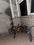 Conjunto de 3 bicicletas