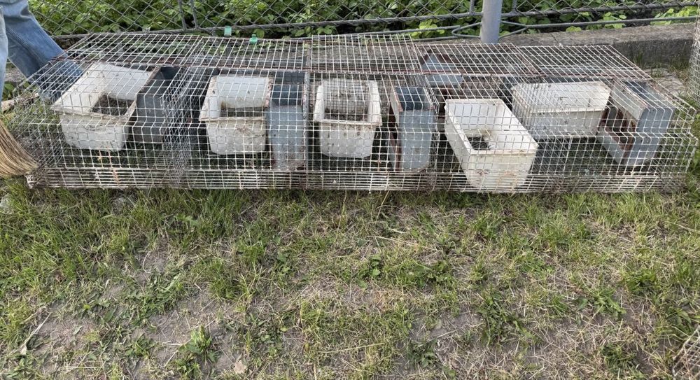 Клітки для кролематок