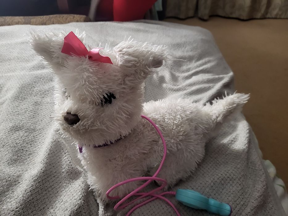 Інтерактивна собачка