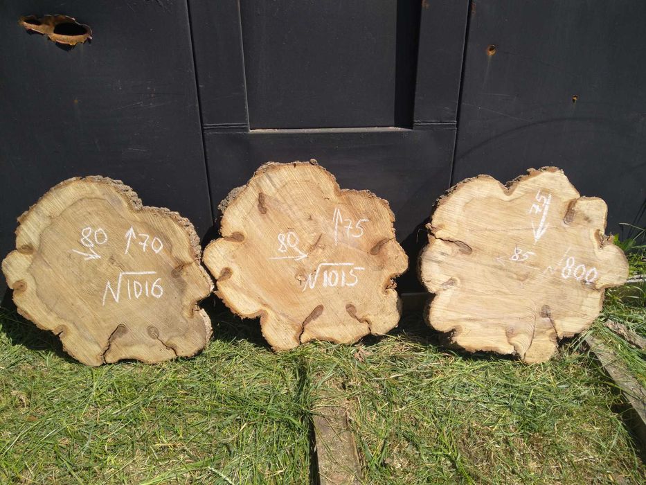 Розпродаж Слеб, сляб, орех, акация корінь ореха поперечний срез