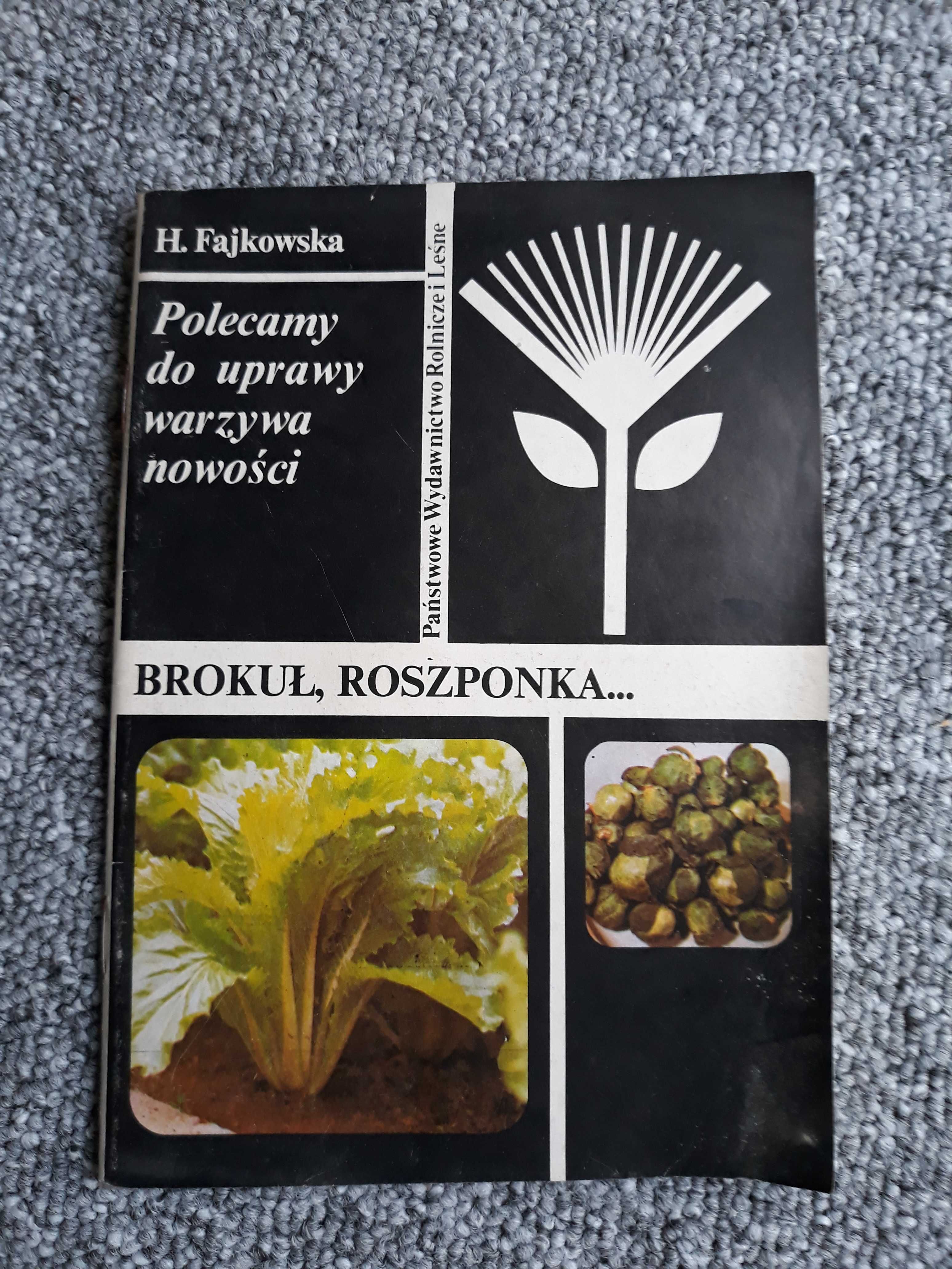 Brokuł roszponka - Fajkowska
