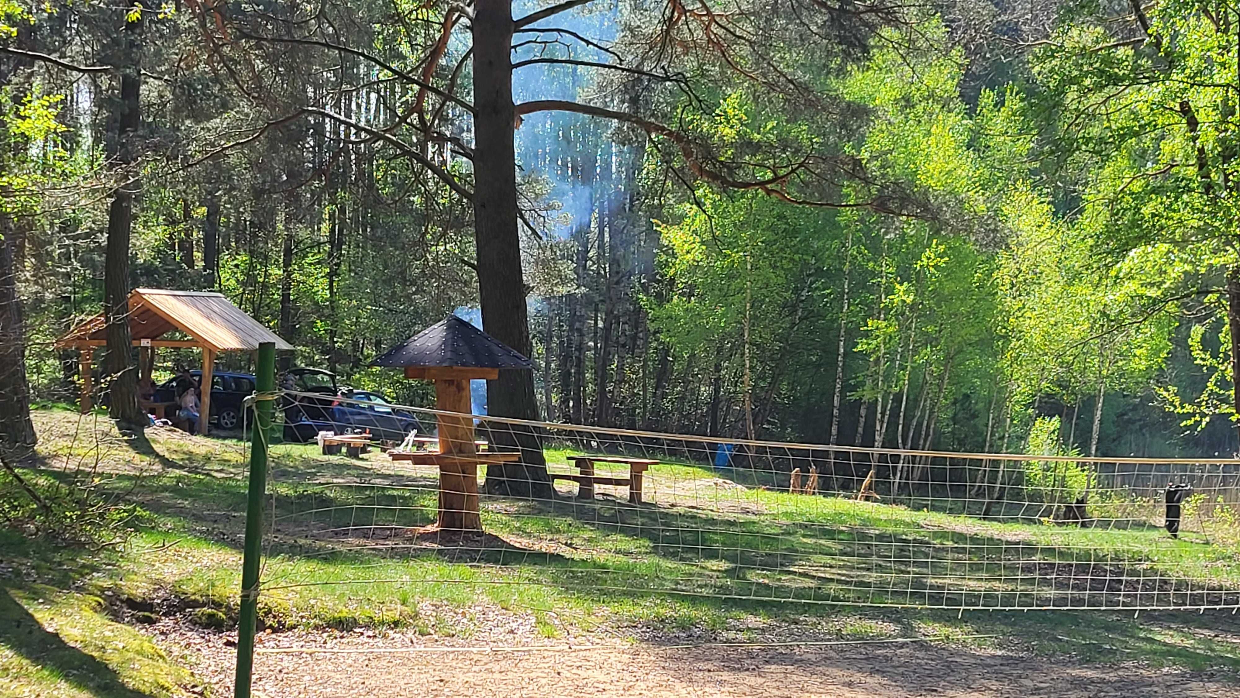 Nowy domek w prywatnym lesie nieopodal jeziora Warmia Mazury