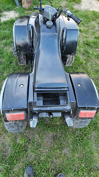 quad kingway traper 250
