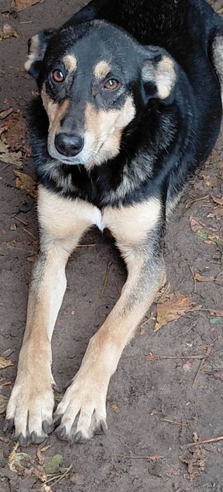 Прилаштовується гарна дівчинка