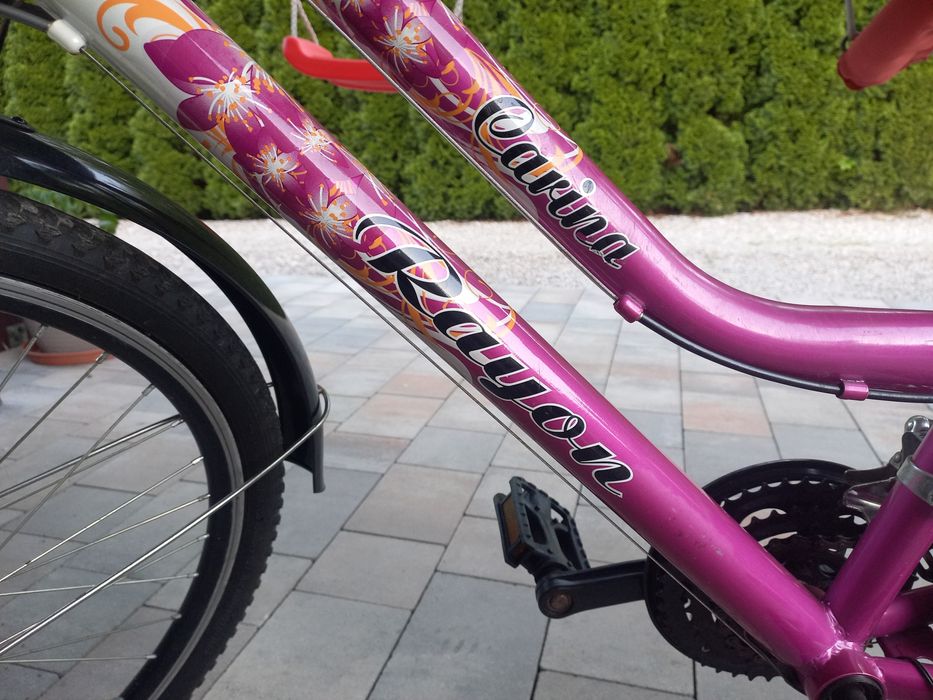 Rower dla dziewczynki Carina 24