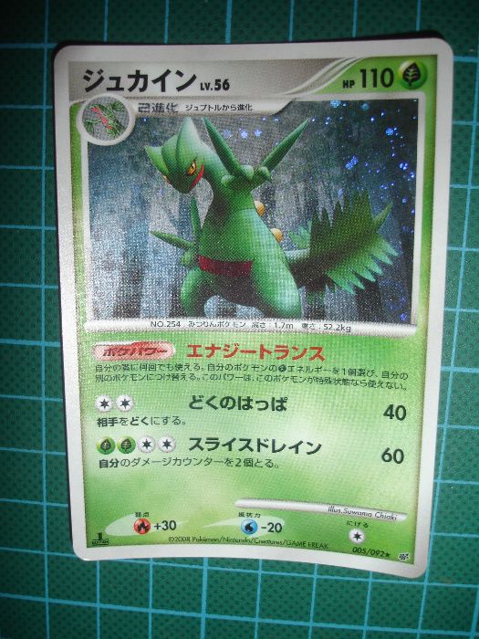 Carta Pokemon Sceptile Holo 2008 JPN