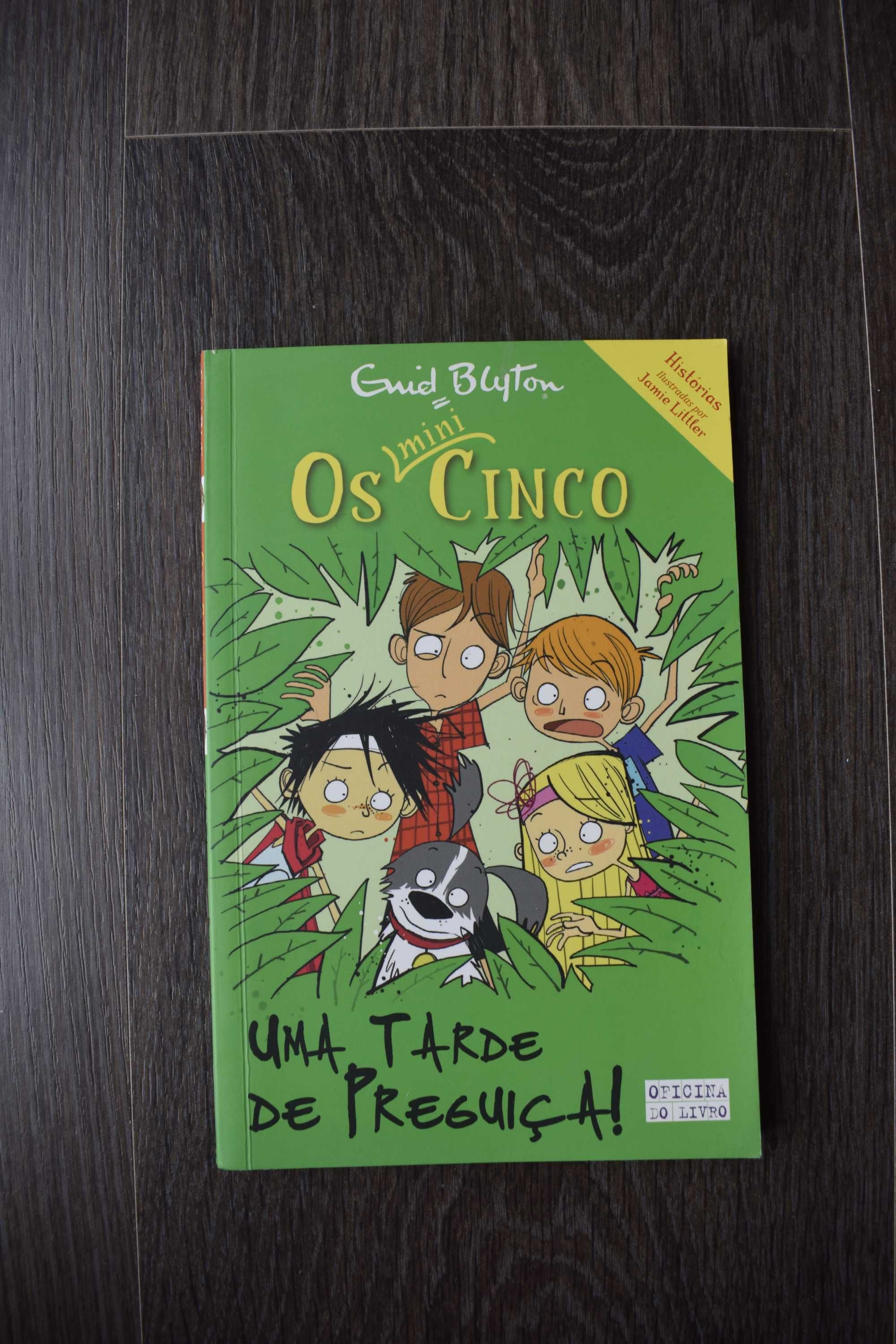 Os mini cinco, Uma Tarde de Preguiça, de Enid Blyton