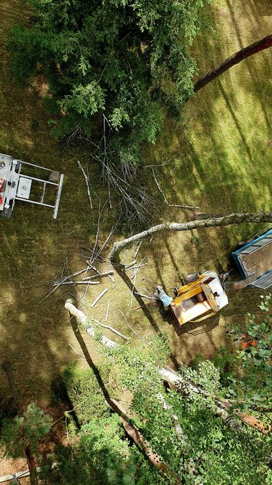 Wycinka i Pielęgnacja Drzew,podnośnik,rębak,Alpinistyka, Czyszczenie