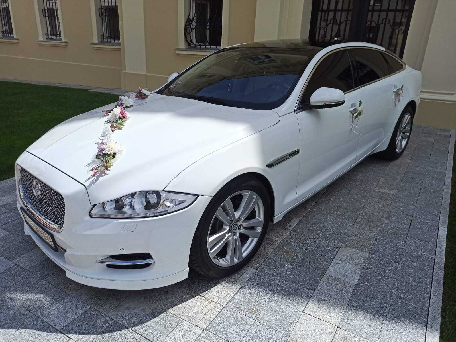 Piękny i komfortowy Jaguar XJL - Auto Na Wesele