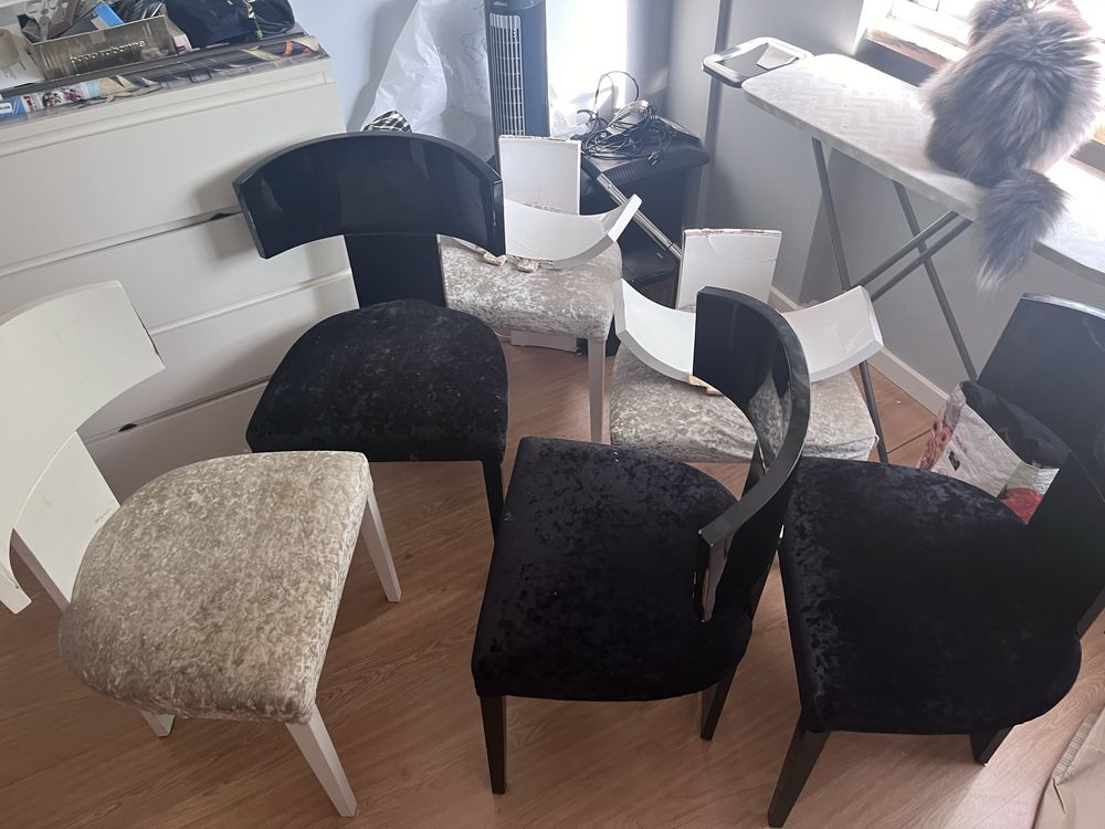 Conjunto de 6 cadeiras veludo