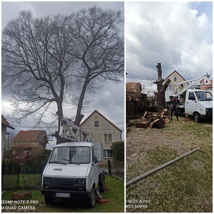 Podnośnik koszowy- wynajmem/usługi
