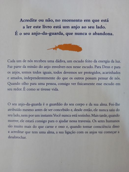 Anjos nos meus cabelos