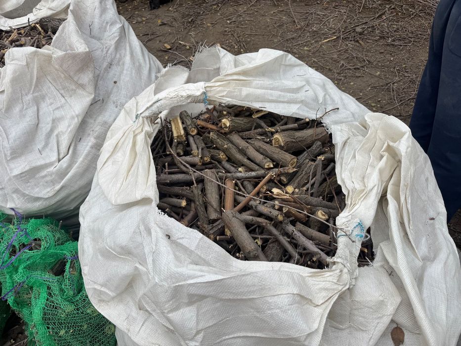 Дуб ясень акация и другие твёрдые породы