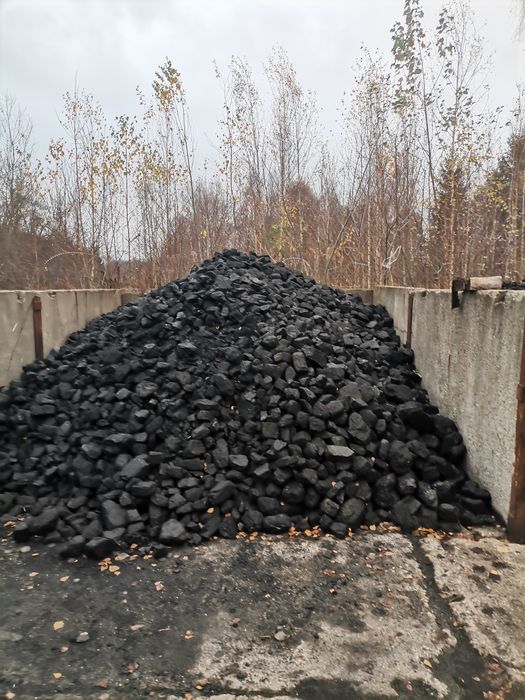 Węgiel kostka gruby polski