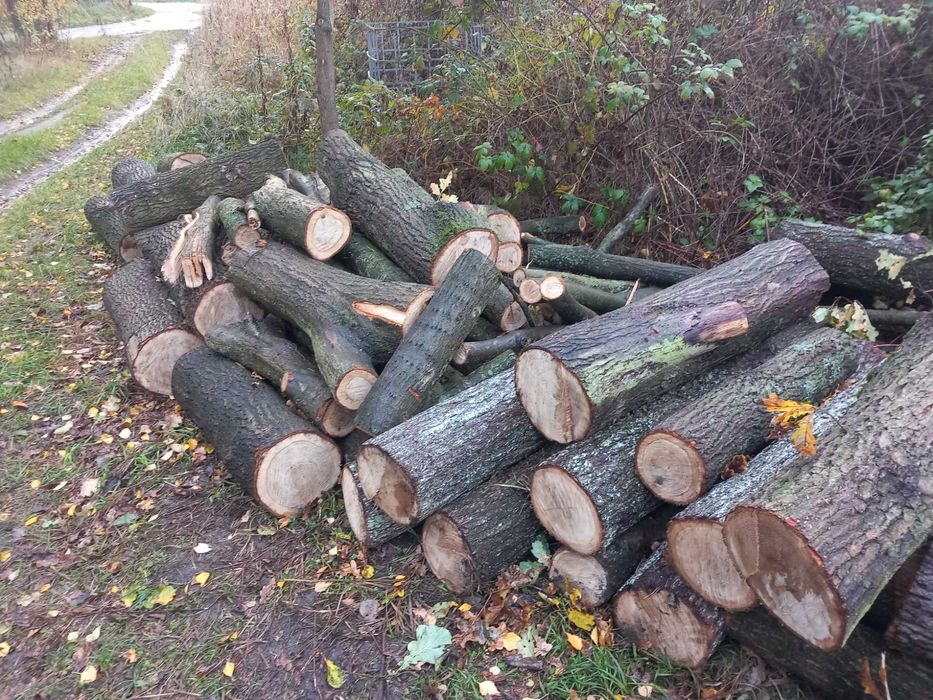 Sprzedam drewno kominkowke opałowe dąb 180zł  1m3