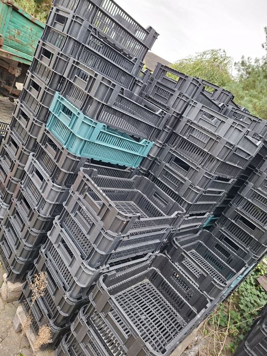 Skrzynki plastikowe owoce warzywa