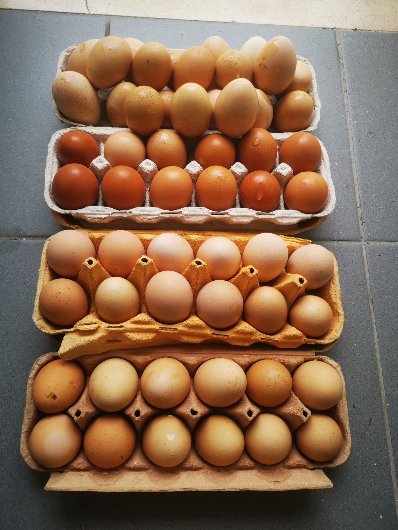 Vendo ovos caseiros