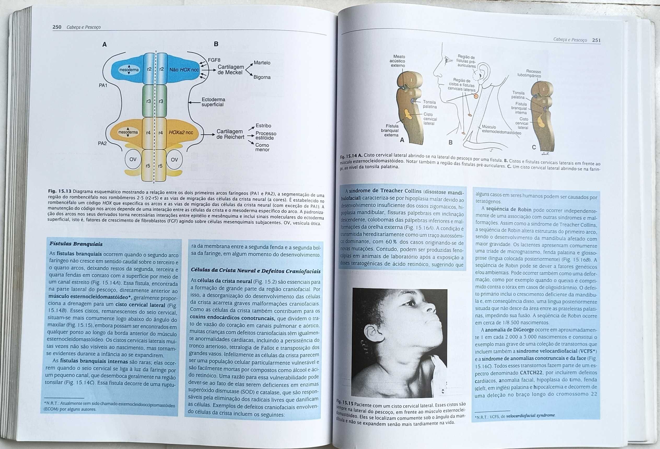 Embriologia Médica - Longamn - Nona Edição