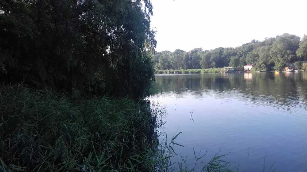Аренда беседки, альтанки на берегу Днепра.