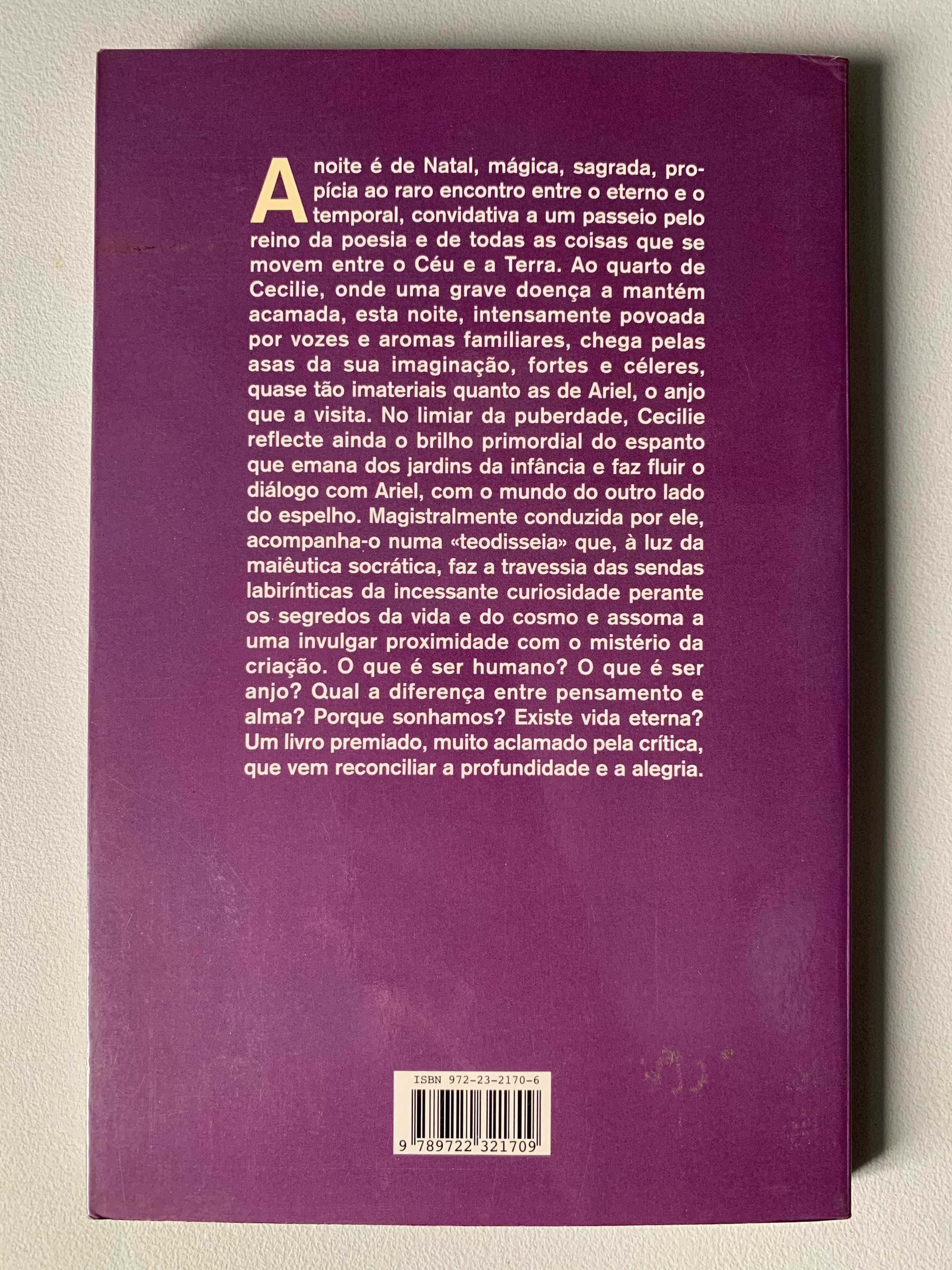 O Enigma e o Espelho, de Jostein Gaarder
