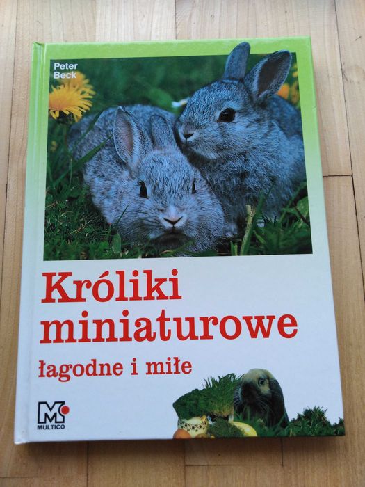 króliki miniaturowe poradnik