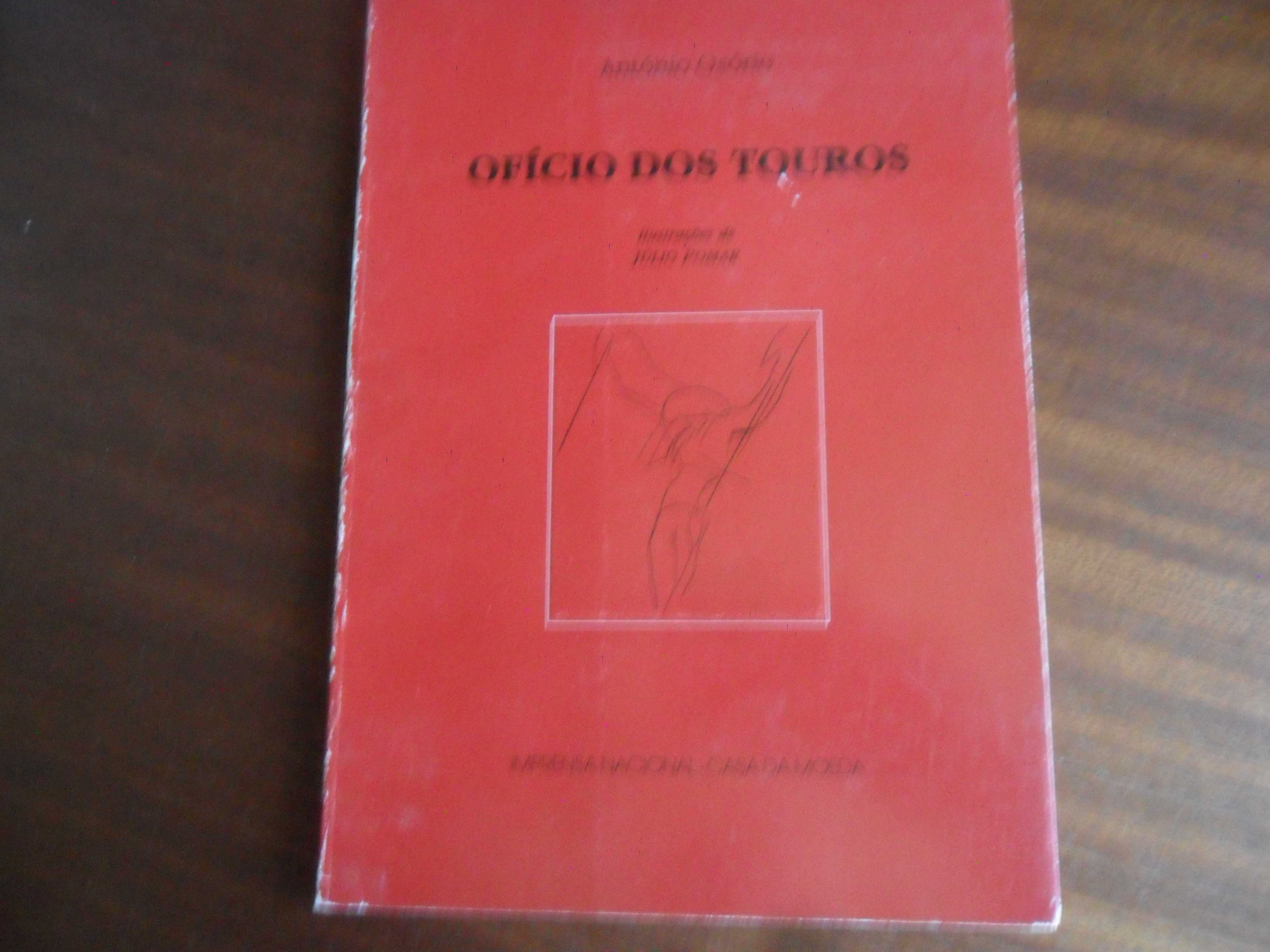 "OFÍCIO DOS TOUROS" de António Osório e Júlio Pomar -1ª Edição de 1991