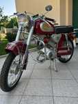 Sachs lebre restaurada