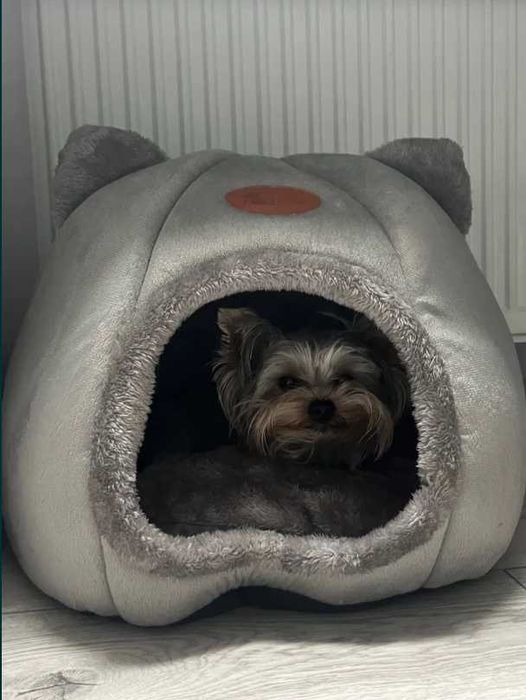 Будиночок Домик для кота М XL, маленьких собачок. Котик. Хатка. Новий