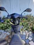 Moto elétrica Goose II