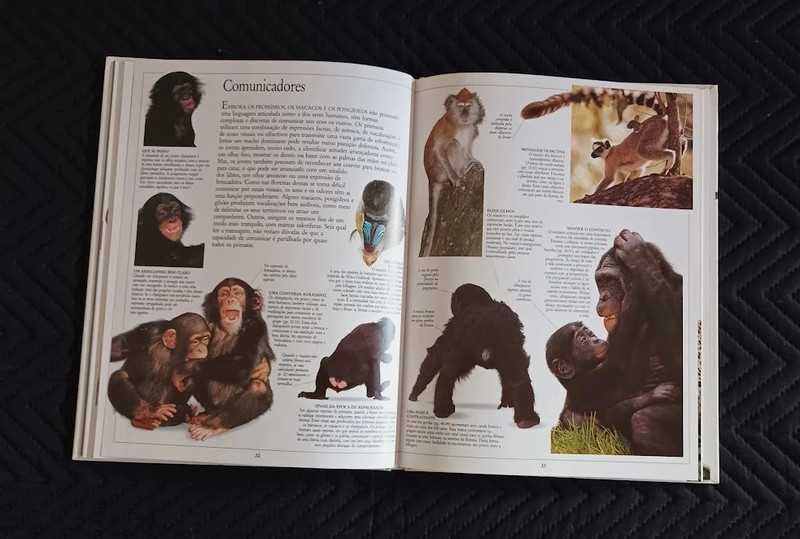 Livros sobre a Vida  Animal