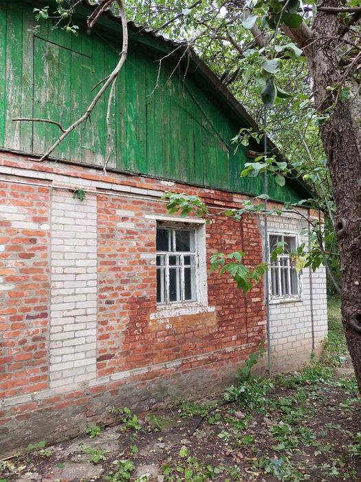 Продам Дом 60 м2 село БОРКИ 6300у.е  рядом Птицефабрика