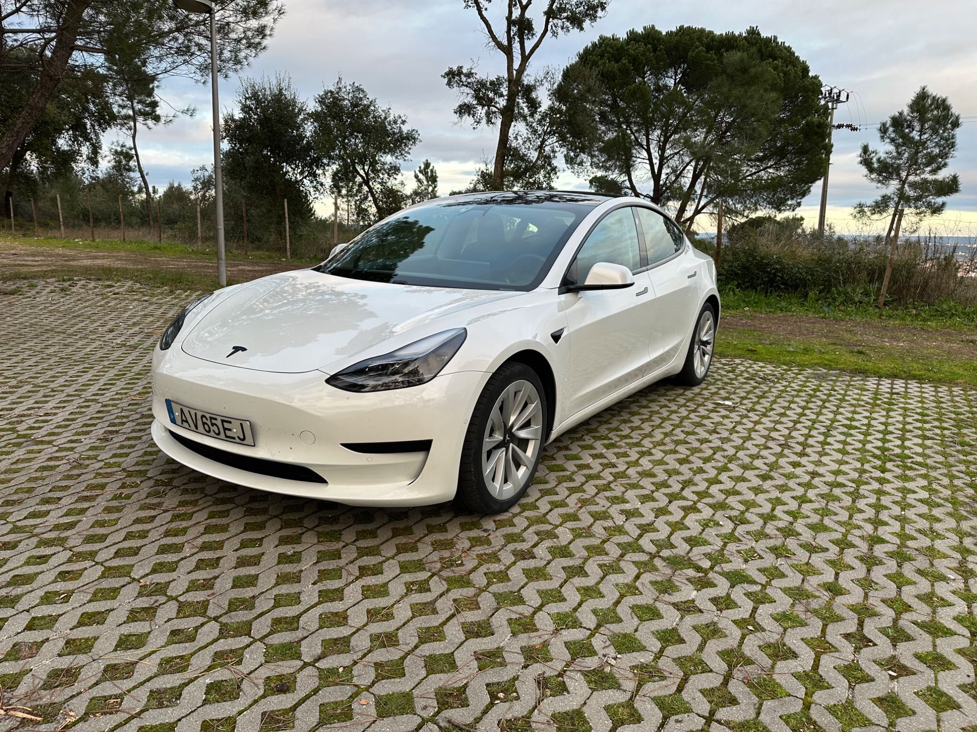 Tesla Model 3 Standard Range Plus de 2021 + Extras