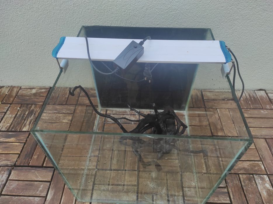 Aquário cubo 60L