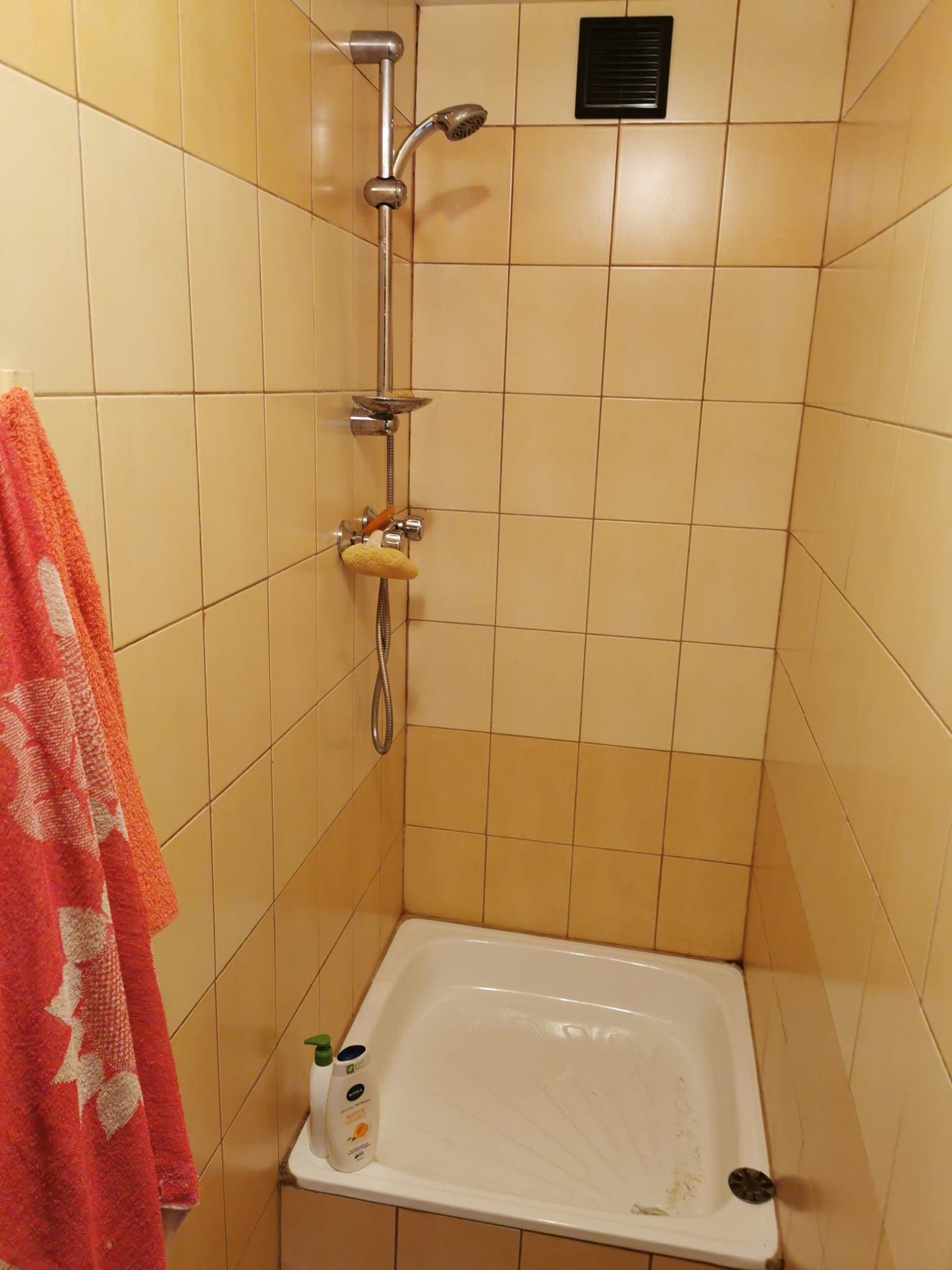 Domek do wynajęcia