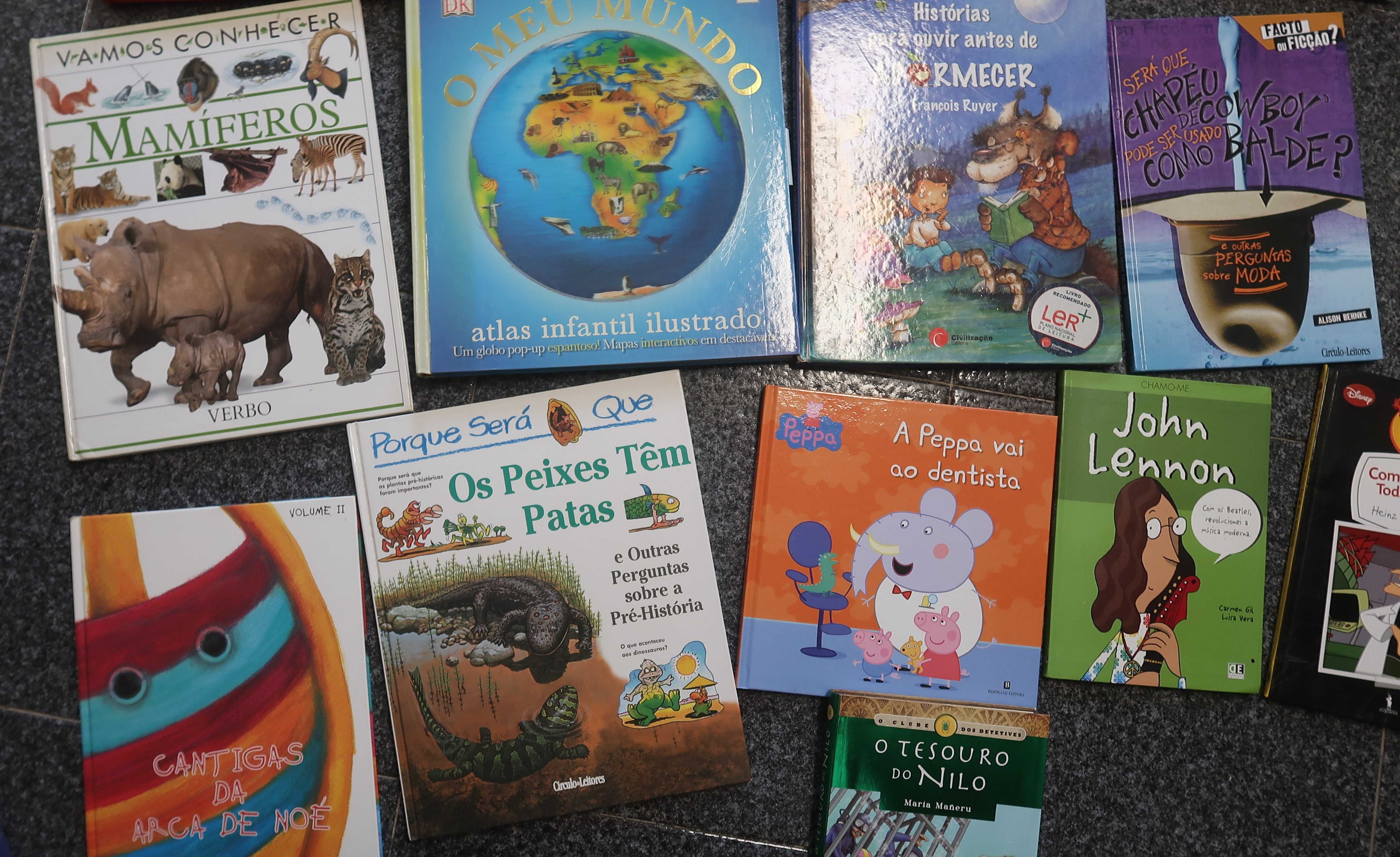 Conjunto 15 livros juvenis