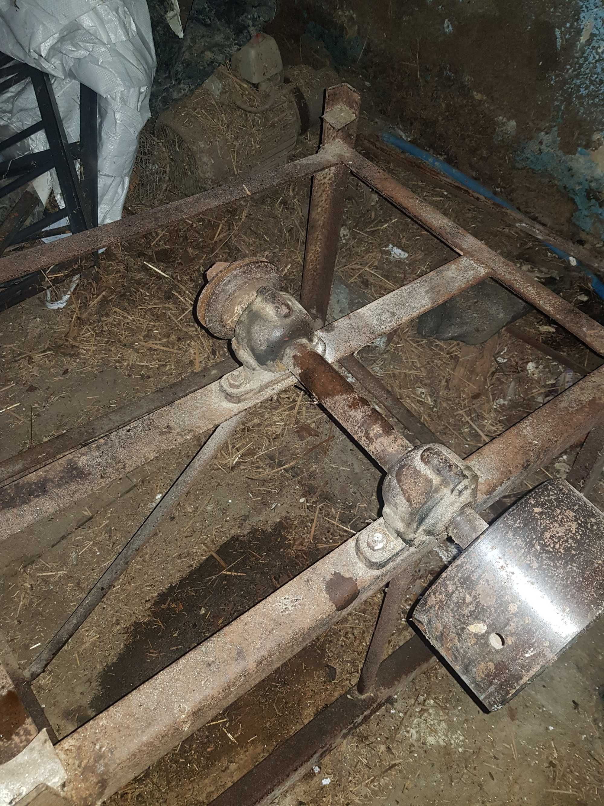Cyrkulatka metalowa