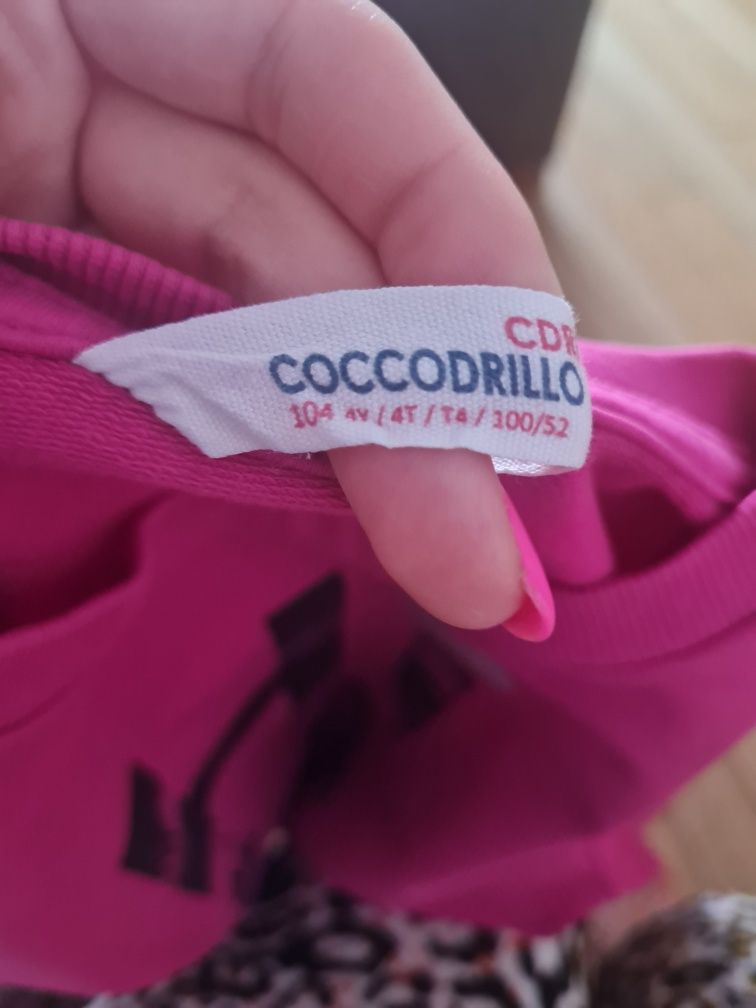 Bluza dla dziewczynki z firmy Coccodrillo rozmiar 104