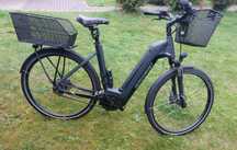 Rower elektryczny Bergamont e-horizon expert