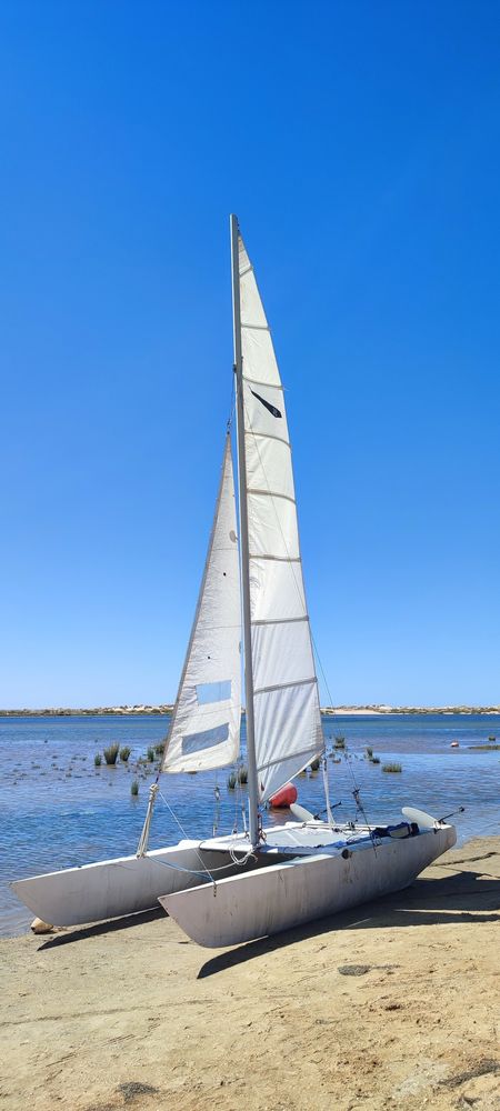 Catamarã DART 18, Vela ligeira.