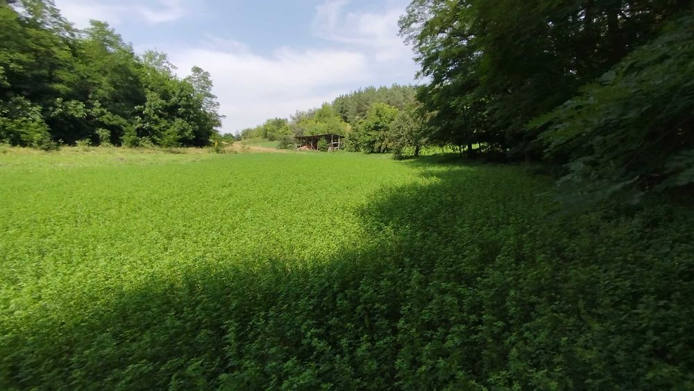 Продається  будинок у селі Пилипи